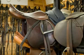 Tack Maintenance Tips for Long-Lasting Gear